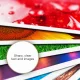 Epson C13S450075 #6