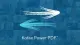 Tungsten Automation Power PDF 5