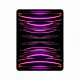 Apple Pro (6th generation) iPad Pro