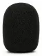 RØDE WS2