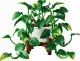 LEGO Botanicals 11512 #2