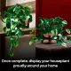 LEGO Botanicals 11512 #13
