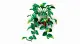 LEGO Botanicals 11512 #3