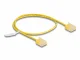 DeLOCK 80898