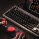 8Bitdo C64 Edition #12