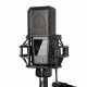 LEWITT LCT 540S #6