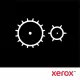 Xerox 116R00010