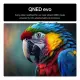 LG QNED evo AI 100QNED86A6 #5