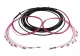 Synergy 21 S217073