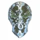 Liontouch Dragon Shield