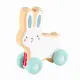Fisher-Price JDM52 #5