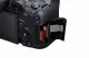 Canon EOS R7 + RF-S 18-150mm IS STM #2