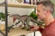 Mattel Jurassic World JKG98 #2