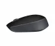 Logitech M171