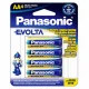 Panasonic Evolta AA