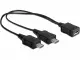 DeLOCK 20.5cm, USB micro-B - 2 x USB micro-B