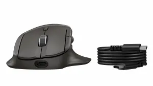 HP Ultra-Fast-Scroll Wireless Mouse 785M