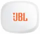 JBL Endurance Zone #6