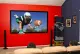 Elite Screens "Sable Frame ER110WH1" Rahmenleinwand 243,8cm x 137,2cm (BxH) 16:9 #2