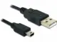 DeLOCK USB 2.0-A / USB mini-B 5pin - 0.70m