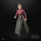 Hasbro Star Wars Morgan Elsbeth #14