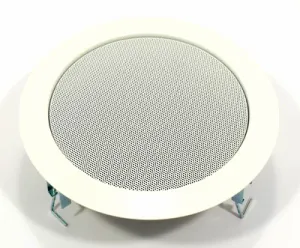 Visaton DL 18/2 T