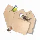 SES Creative Explore Birdhouse #5