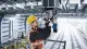 Bosch GBM 50-2 #5