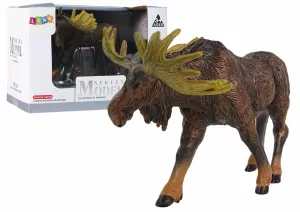 LEAN Toys 12284