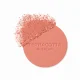 Guerlain Terracotta Blush #2