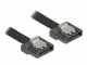DeLOCK 0.3m SATA III