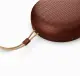 Bang & Olufsen BeoSound A1 3rd Gen #5