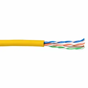 ACT UTP Cat5e 100m Patch