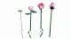 LEGO Botanicals Bouquet of Pink Roses #4