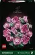 LEGO Botanicals Bouquet of Pink Roses