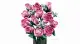 LEGO Botanicals Bouquet of Pink Roses #3