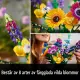 LEGO Botanicals Wildflower Bouquet #4