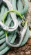 Edelrid JUL 2 #7