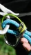 Edelrid JUL 2 #8