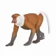 Mojo Fun Proboscis Monkey #2