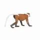 Mojo Fun Proboscis Monkey #5