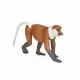 Mojo Fun Proboscis Monkey #3