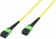 Microconnect FIB998003MTP