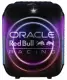 Red Bull Racing SK240