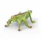 schleich WILD LIFE 42741 #6