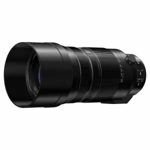 Panasonic Leica DG Vario-Elmar 100-400 mm / F4.0-6.3 II ASPH. / POWER O.I.S.