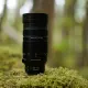 Panasonic Leica DG Vario-Elmar 100-400 mm / F4.0-6.3 II ASPH. / POWER O.I.S. #6