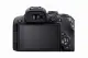 Canon EOS R10 + RF-S 18-45mm F4.5-6.3 IS STM #6