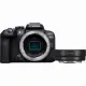 Canon EOS R10 + RF-S 18-45mm F4.5-6.3 IS STM #5
