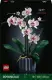 LEGO Botanicals Orchid #1